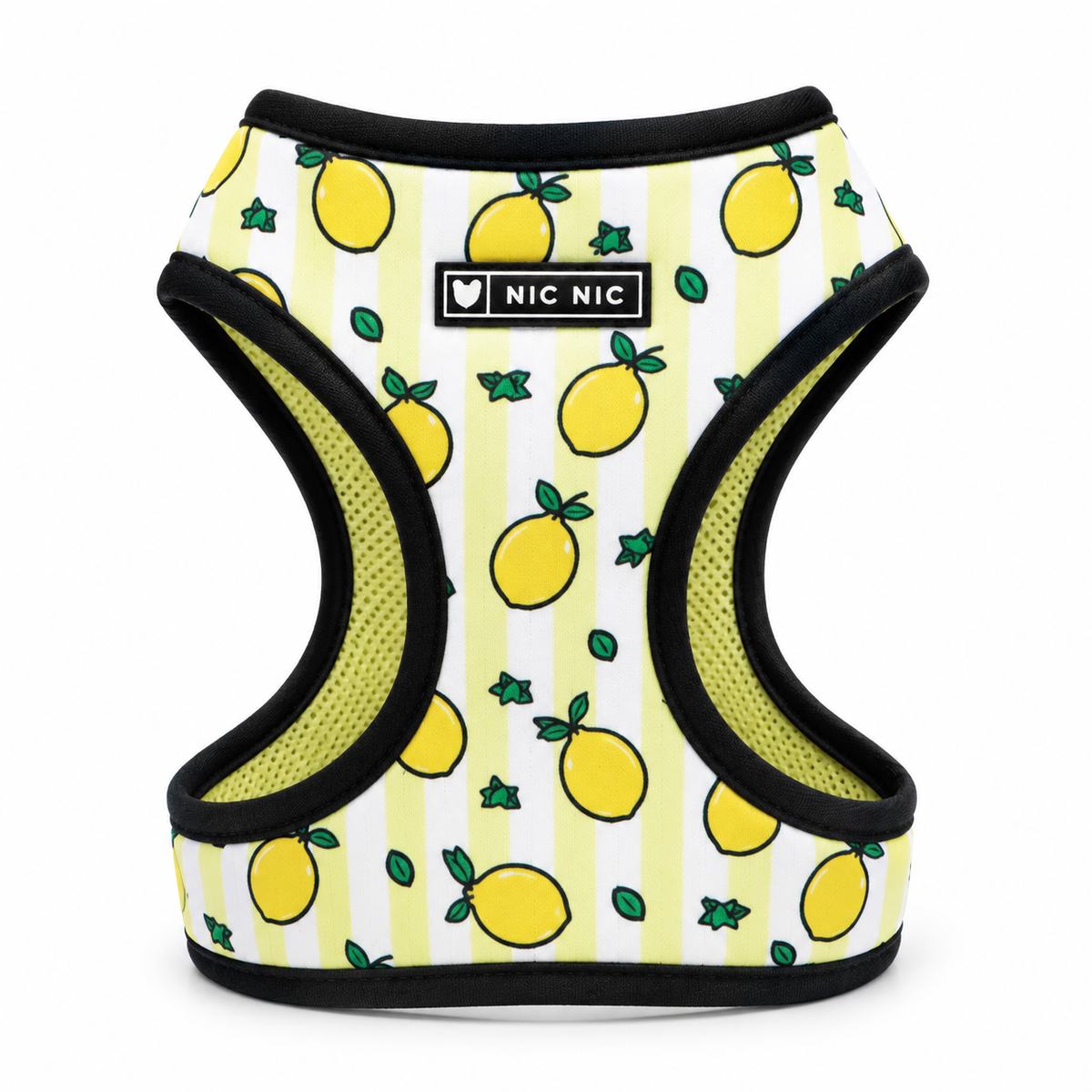 Arnes y correa Limones
