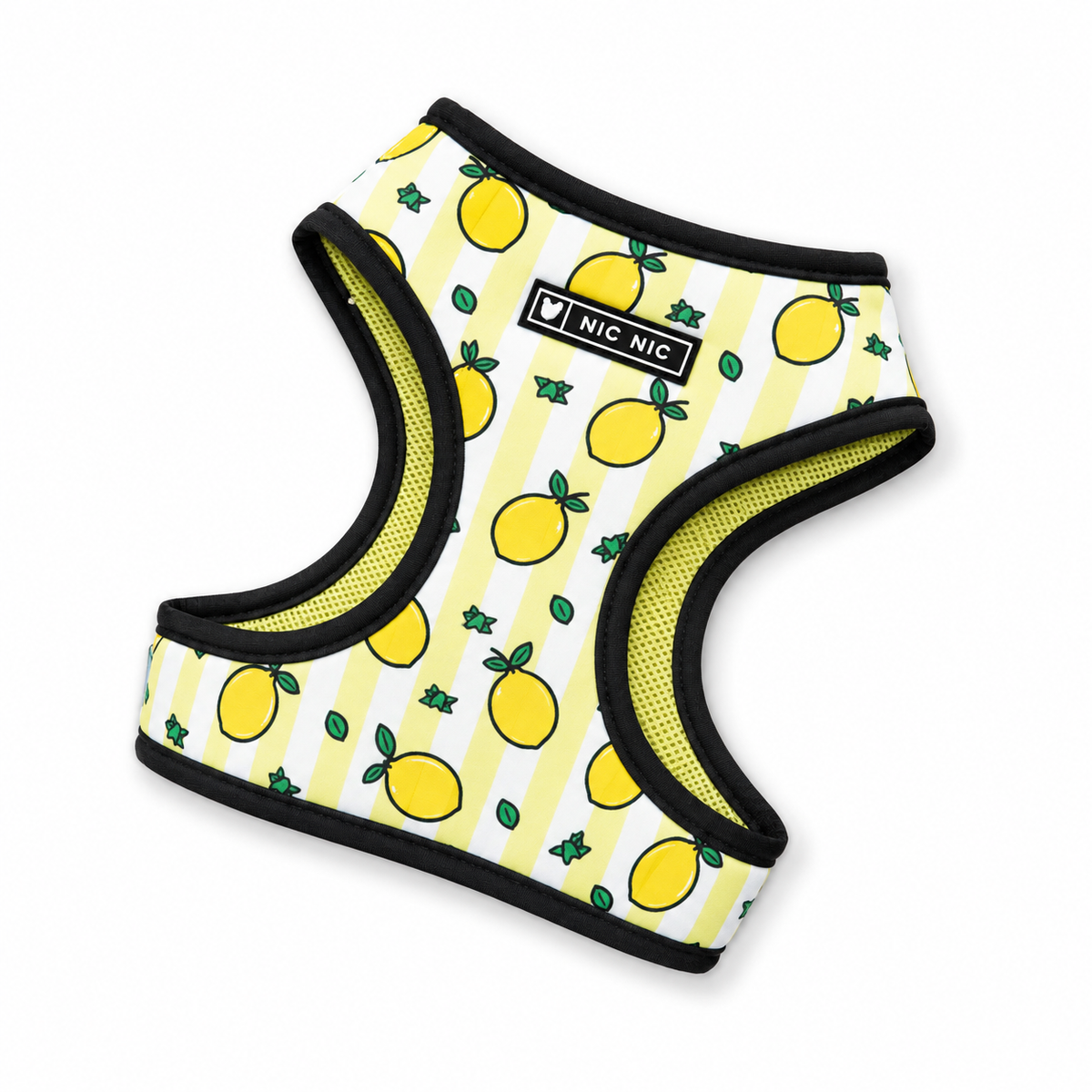 Arnes y correa Limones